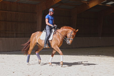 France-Auvergne-Auvergne Chateau Equestrian Escape